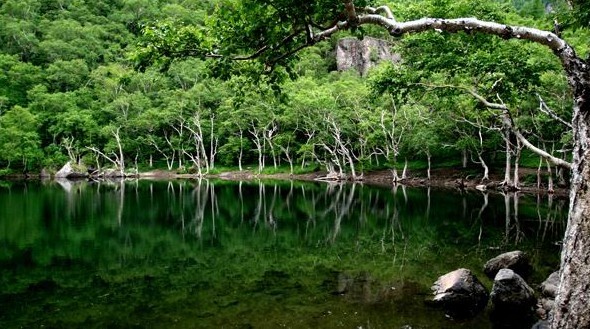 長(zhǎng)白山西坡、十五道溝-望天鵝風(fēng)景區(qū)雙飛4日