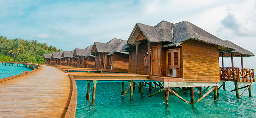 馬爾代夫--菲哈后島 Fihalhohi Island Resort【 四星級