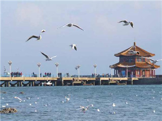 <strong><font color='#0000FF'>日照A線：青島、棧橋、日照、劉家灣趕海、竹洞</font></strong>