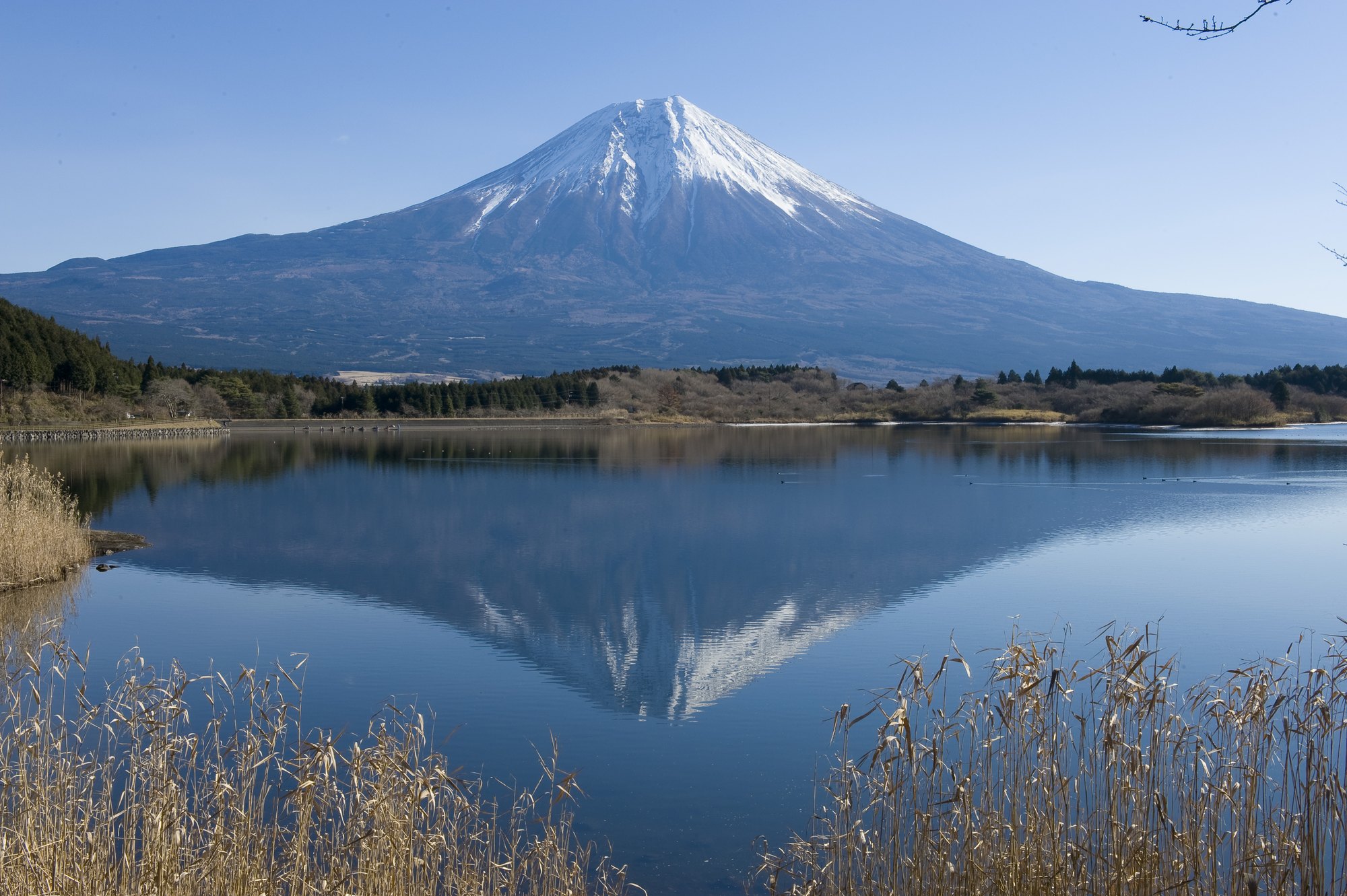 東京、箱根、京都、大阪6日**三大樂園の3~4星酒