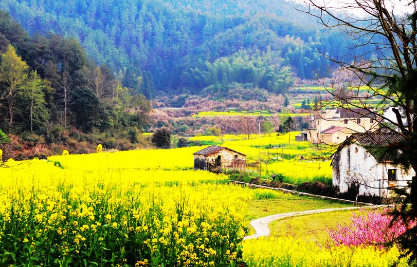 廬山主景區(qū)、婺源、江嶺梯田、三清山、景德鎮(zhèn)