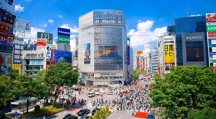 東京、箱根、伊豆半島、東京1天自由行6日