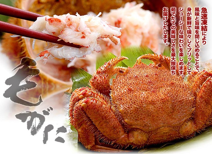 東京、箱根、大阪、京都、伊勢7日**4星美食純玩