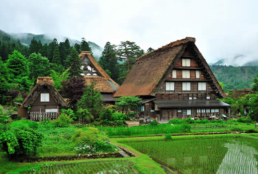 東京、箱根、大阪、京都、奈良、白川鄉(xiāng)、神戶