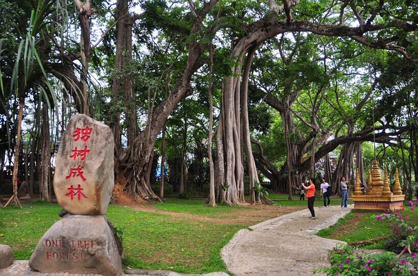 大理、騰沖、芒市雙飛6日